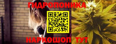 Альфа ПВП Коломна