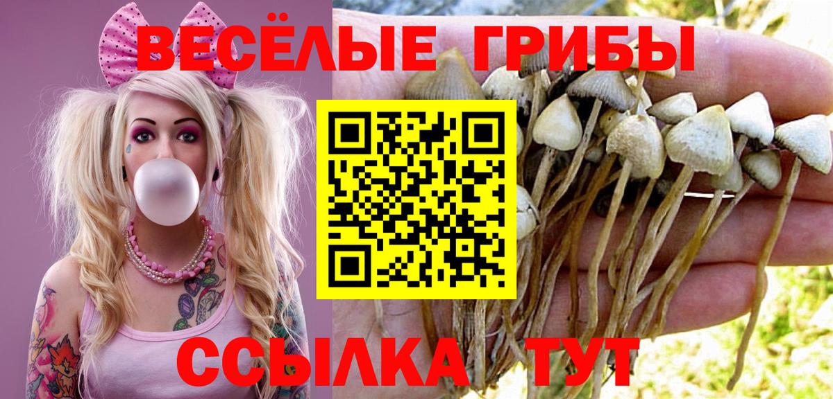 Галлюциногенные грибы Psilocybe  Галлюциногенные грибы ЛСД  Ахтубинск  даркнет сайт  Вход с VPN 