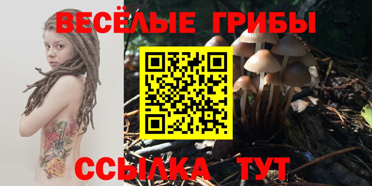 Псилоцибиновые грибы ЛСД Ахтубинск