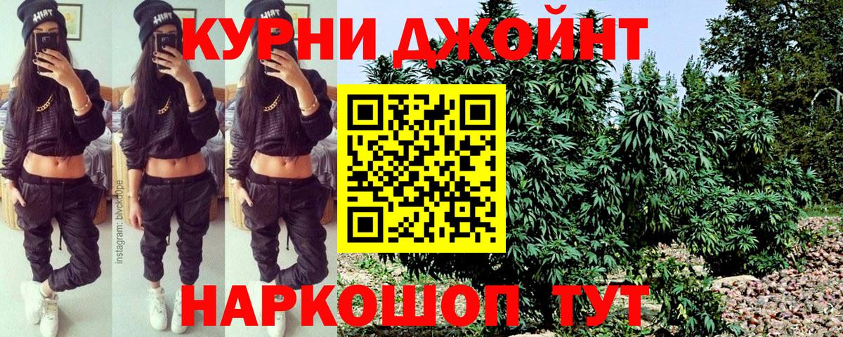 Марихуана OG Kush  МАРИХУАНА гибрид  МАРИХУАНА OG Kush  Ахтубинск  Бошки Шишки сатива 